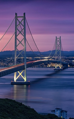 Crack detector for bridge