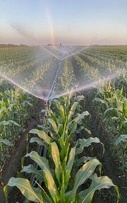 Piezoelectric Rain Sensor For Agricultural Irrigation