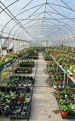 Radiation Level Sensor For Flower Cultivation Facilities