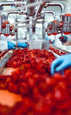 Salinometer for food processing