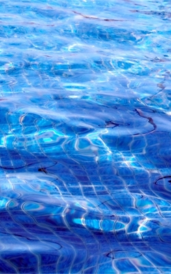 Salinometer for pool