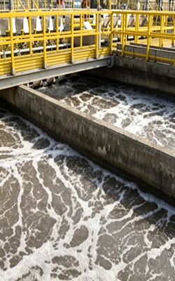 Sewage foam