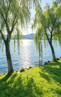 Water application