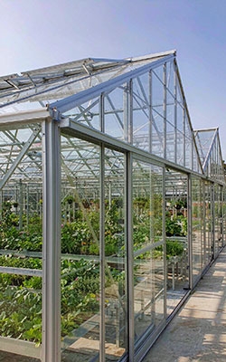 Wireless Rain Sensor For Greenhouse