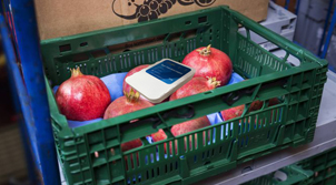Real time temperature and humidity data logger for fresh food safety