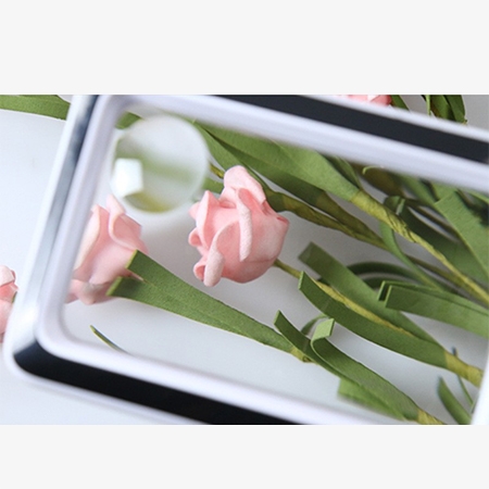 Rechargeable USB magnifier rectangular lens