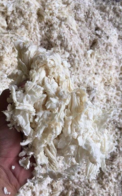Rotational viscometer for pulp