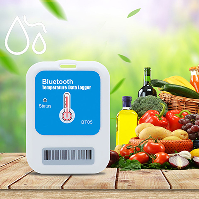 Bluetooth Temperature Data Logger with External Sensor - Klipspringer