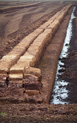 Soil sampler for peat soil
