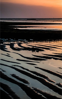 Soil sampler for tidal flat