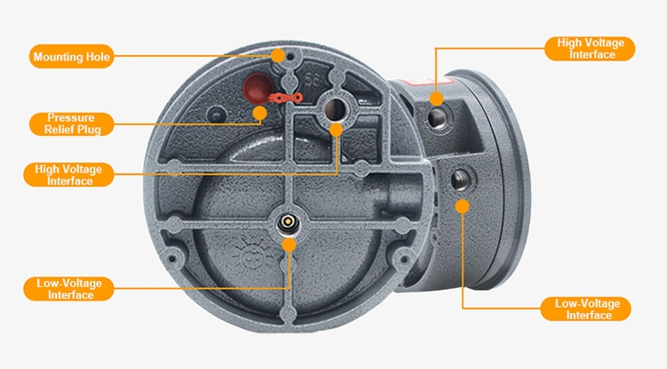 Differential pressure gauge structure