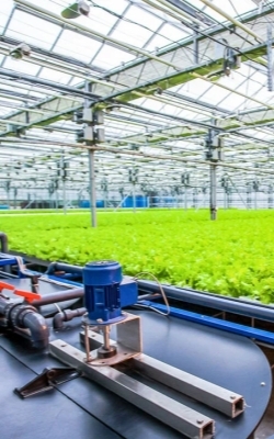Agricultural Cultivation