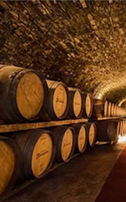 Temperature humidity data logger for wine cellar
