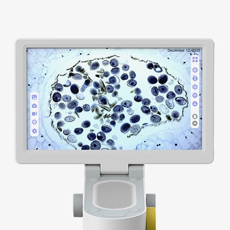 Touchscreen electron biological microscope 9-inch display