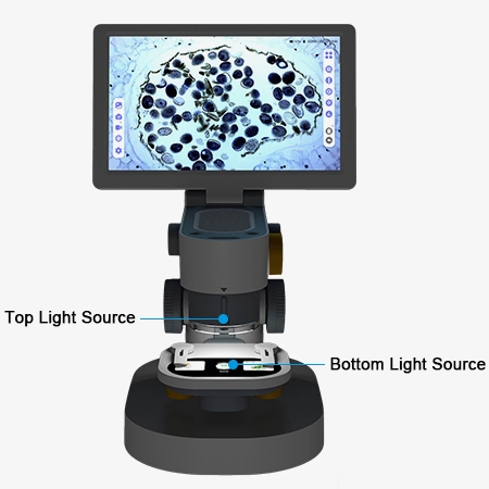 Touchscreen electron biological microscope dual light sources