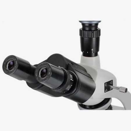 Trinocular microscope viewing head