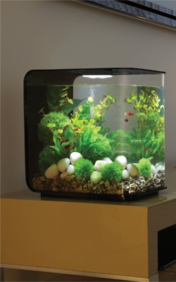 Water quality tester for aquarium