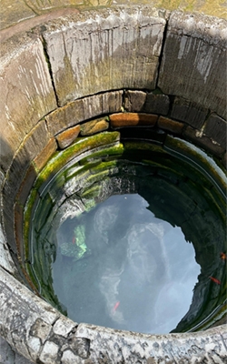 Water quality tester for well water