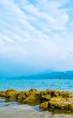 Water quality testing industry